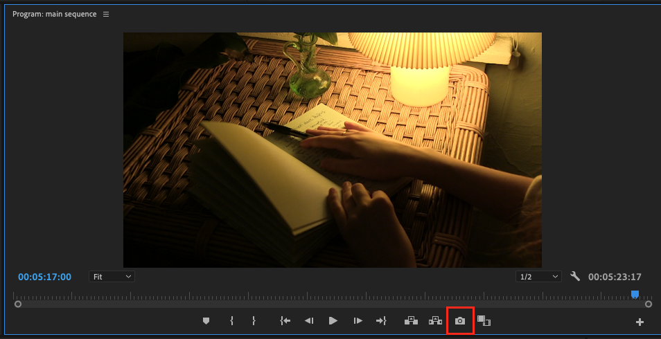 Exporting a still image from the Program monitor